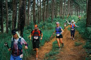 BIB: 
                            <button type="button" onclick="openModal(25671681)" class="btn btn-primary btn-sm float-right btn-popup" data-toggle="modal" data-target=".modal-high-quality">
                        <i class="fas fa-shopping-cart"></i> Add to Cart
                    </button>
                                            <button type="button" onclick="isThisMe(25671681, true)" class="btn btn-success btn-sm float-right btn-popup btn-isme hidden" data-toggle="tooltip" data-placement="bottom" title="นี่คือรูปของคุณใช่ไหม คลิกที่นี่เพื่อเอาเข้าอัลบั้ม">
                        <i class="fas fa-plus"></i> Add to album
                    </button>
                    <button type="button" onclick="isThisMe(25671681, false)" class="btn btn-warning btn-sm float-right btn-popup btn-isnotme hidden">
                        <i class="fas fa-ban"></i> Remove from album
                    </button>